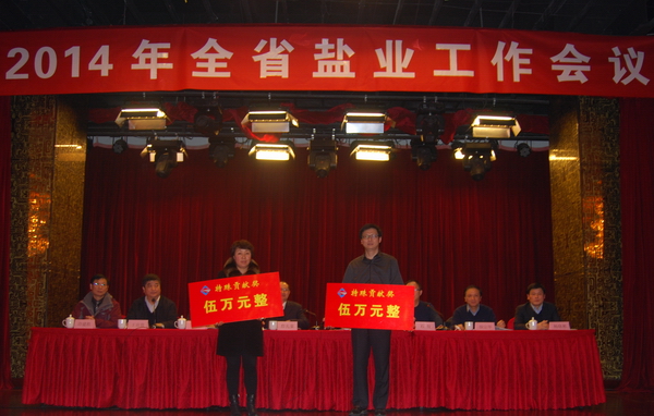 省公司領導到公司調研指導工作 